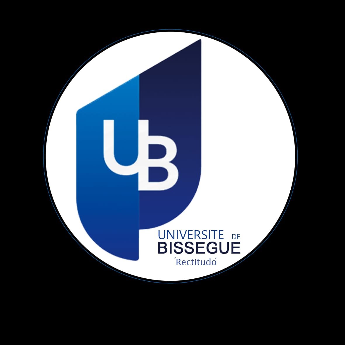 Université de Bissegué